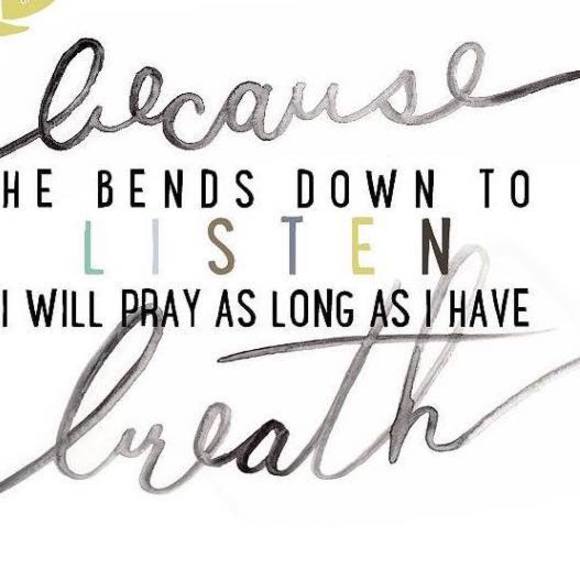 Meet your Posher, Crystal - Picture 1 of 1